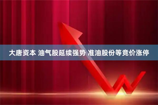 大唐资本 油气股延续强势 准油股份等竞价涨停