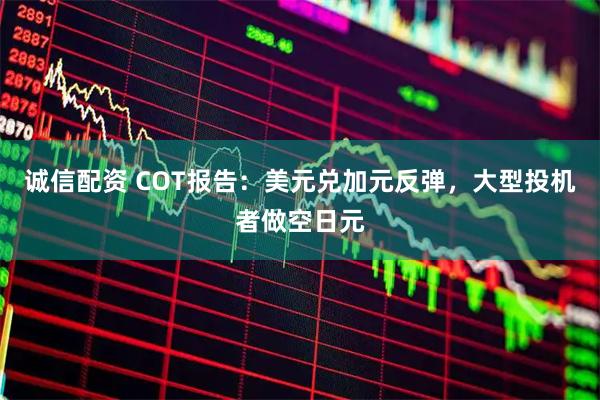 诚信配资 COT报告：美元兑加元反弹，大型投机者做空日元