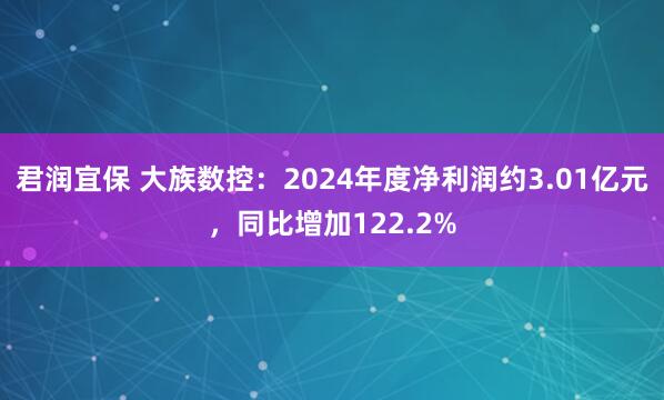 君润宜保 大族数控：2024年度净利润约3.01亿元，同比增加122.2%
