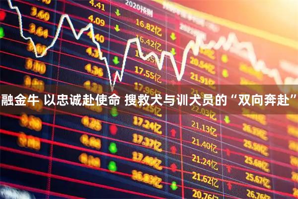 融金牛 以忠诚赴使命 搜救犬与训犬员的“双向奔赴”