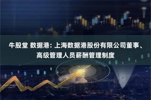 牛股堂 数据港: 上海数据港股份有限公司董事、高级管理人员薪酬管理制度