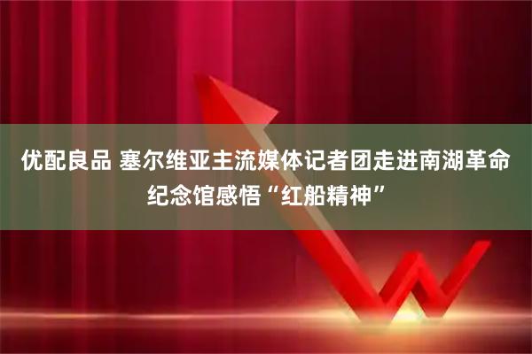 优配良品 塞尔维亚主流媒体记者团走进南湖革命纪念馆感悟“红船精神”