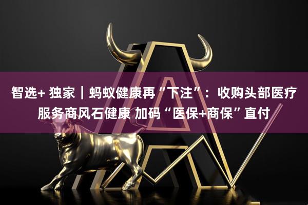 智选+ 独家｜蚂蚁健康再“下注”：收购头部医疗服务商风石健康 加码“医保+商保”直付